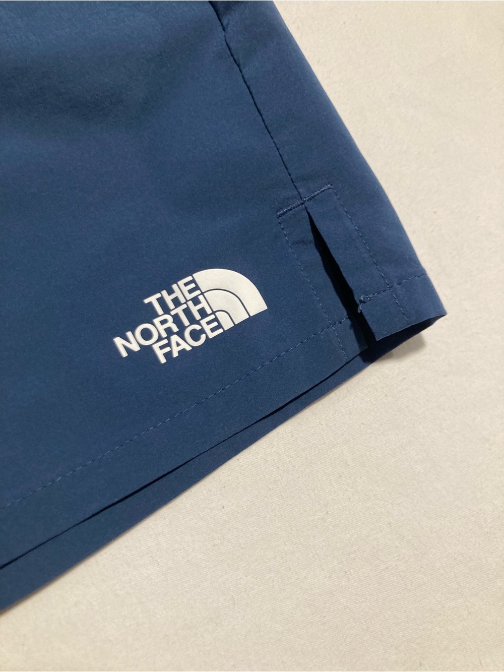 The North Face Men's Deep Blue Performance Athletic Shorts